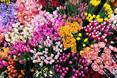 《漫威蜘蛛侠2》新故事细节 发生在《迈尔斯》9个月后